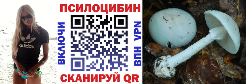 мориарти официальный сайт  Ельня  Псилоцибиновые грибы MAGIC MUSHROOMS 