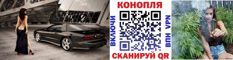 Бошки Шишки марихуана  Ельня 